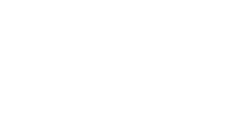 BeautyDogForest(トリミング店のサイト)